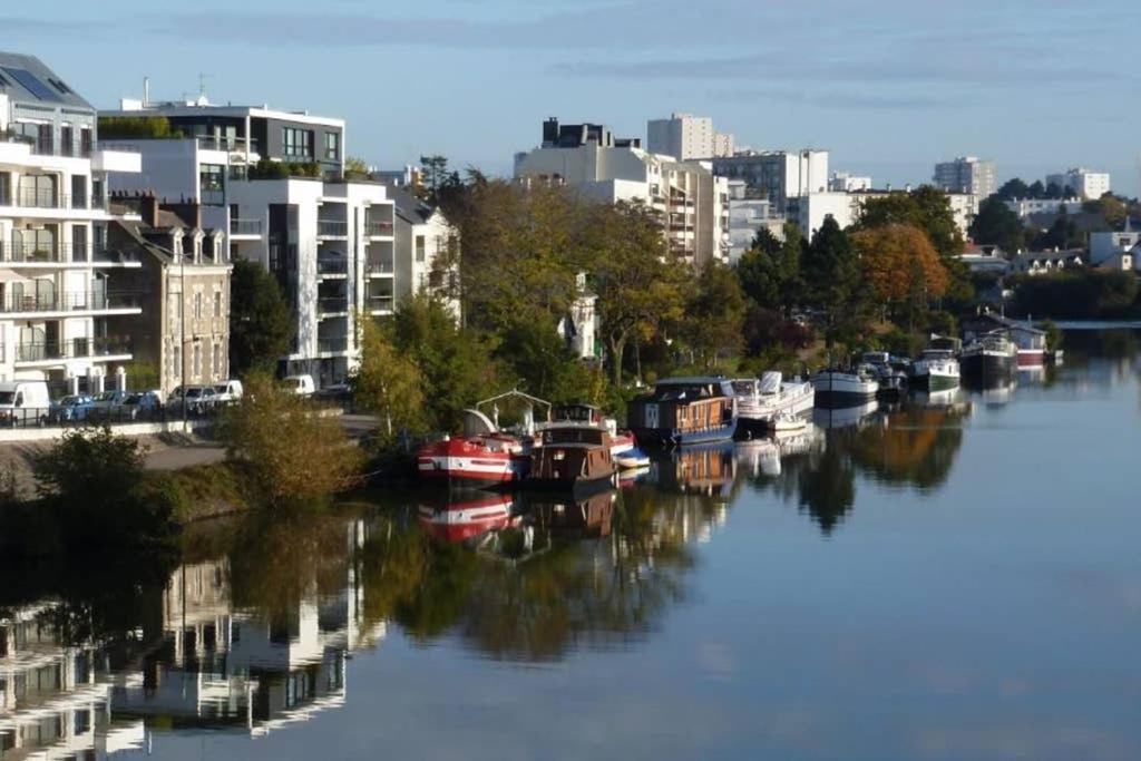 Lulu, Le Studio Du Chateau Apartment Nantes Ngoại thất bức ảnh
